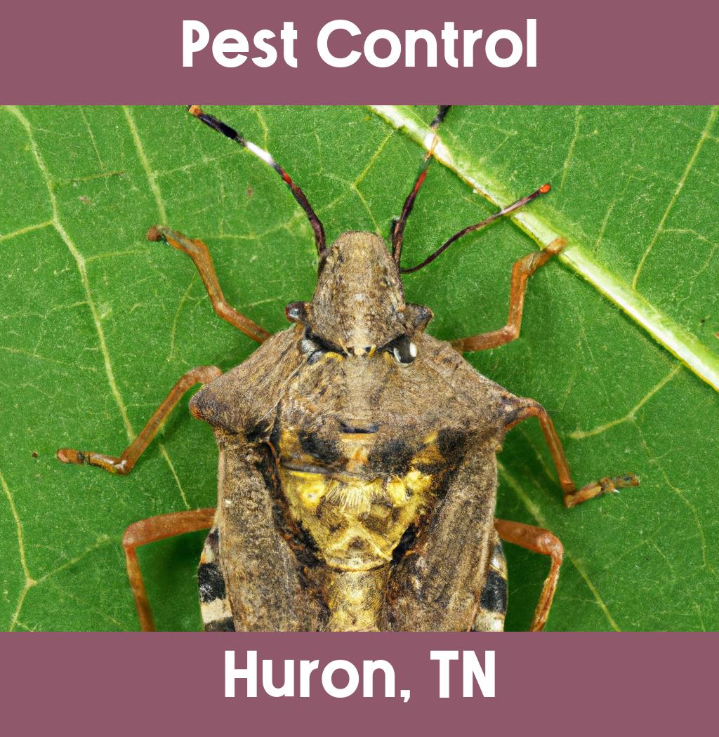 pest control in Huron Tennessee