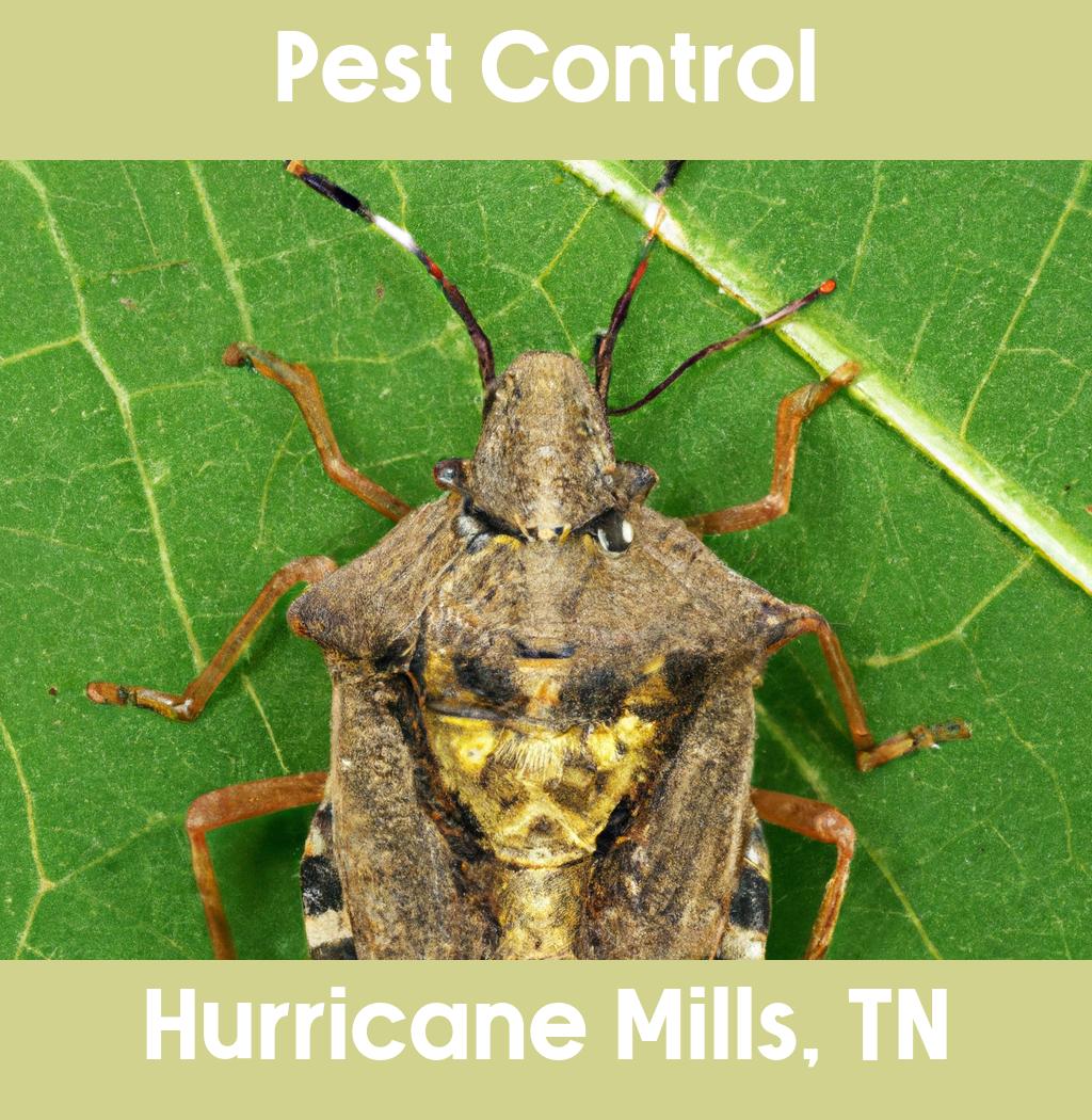 pest control in Hurricane Mills Tennessee