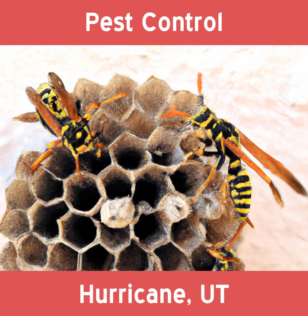 pest control in Hurricane Utah