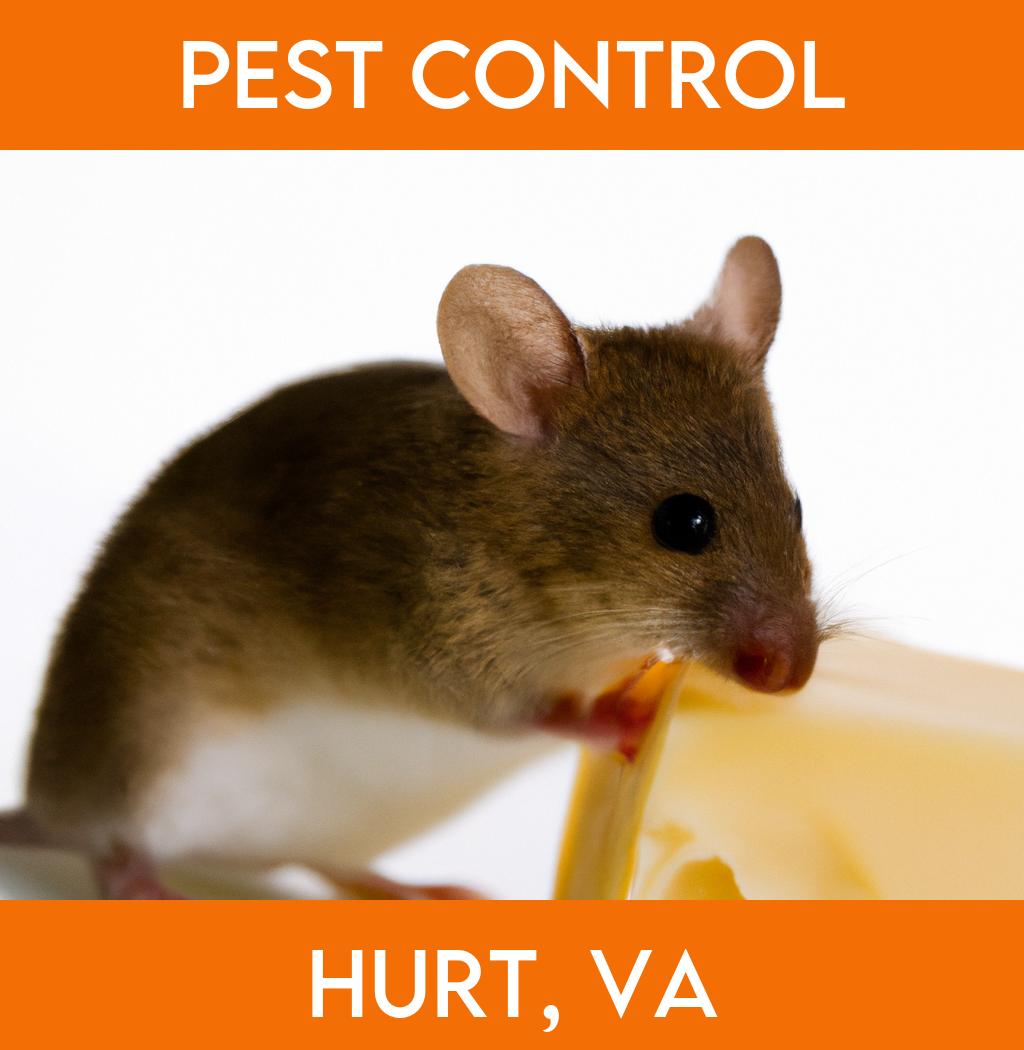 pest control in Hurt Virginia