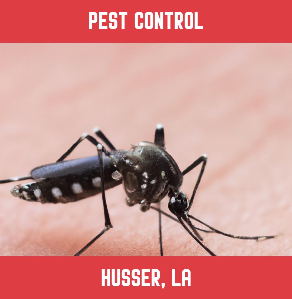 pest control in Husser Louisiana