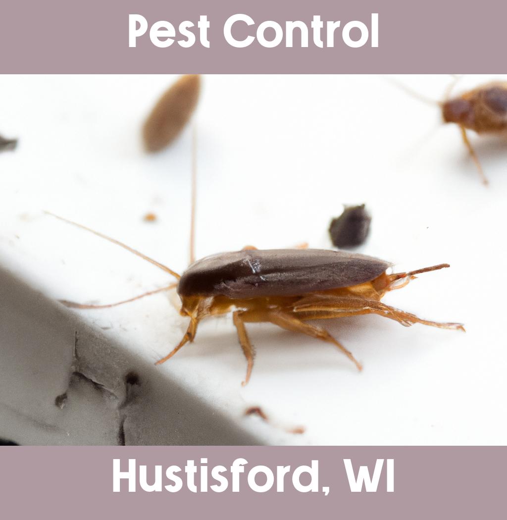 pest control in Hustisford Wisconsin