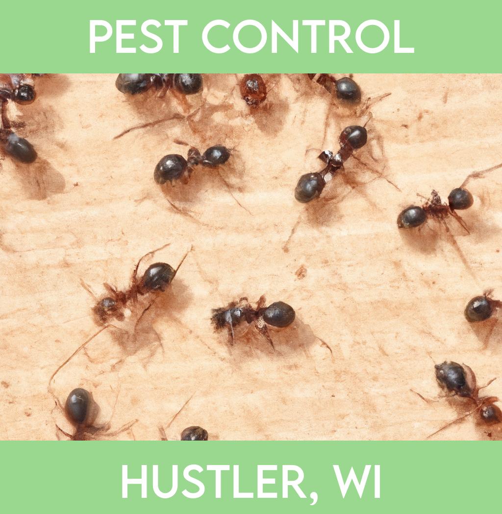 pest control in Hustler Wisconsin