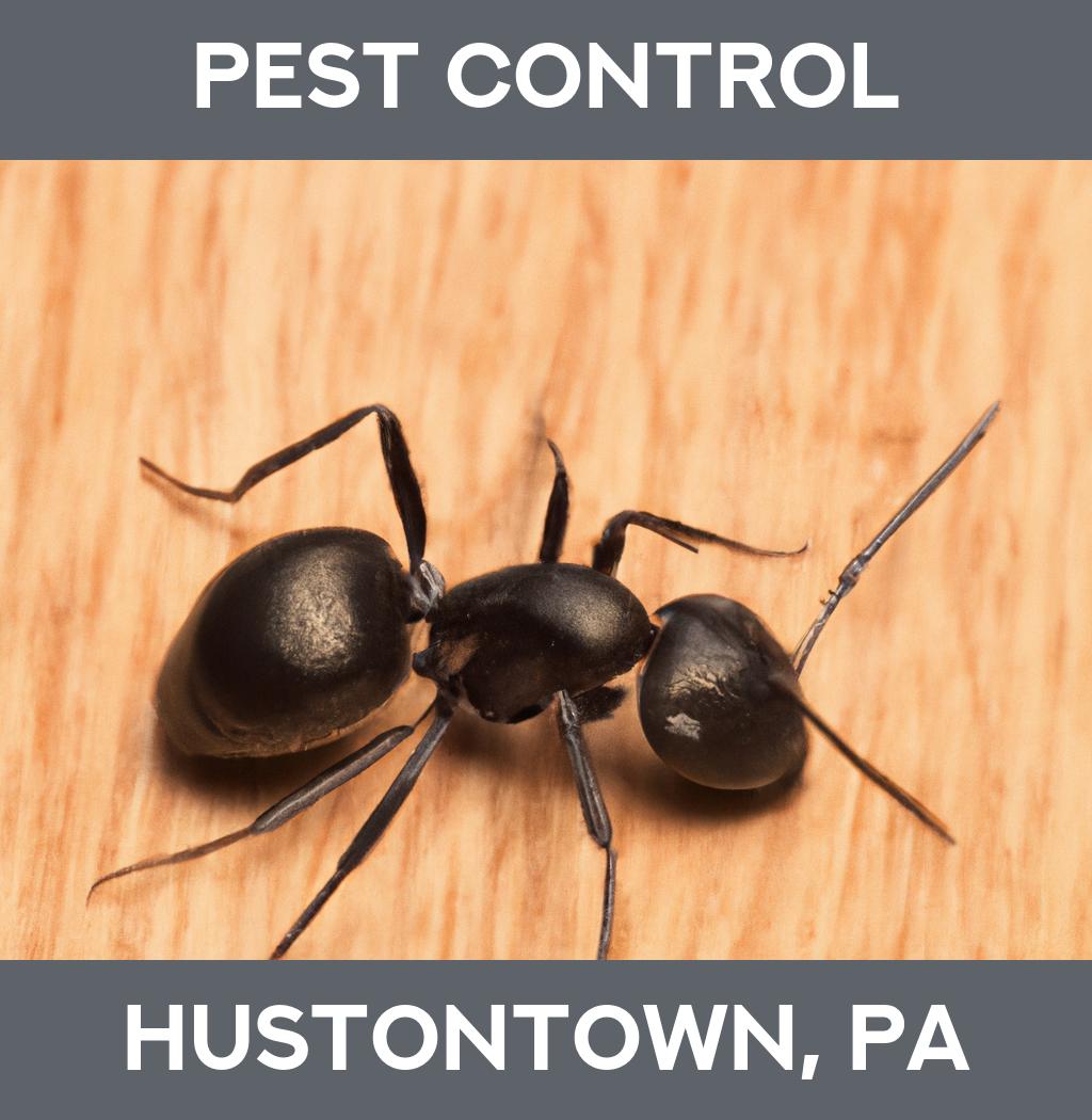 pest control in Hustontown Pennsylvania