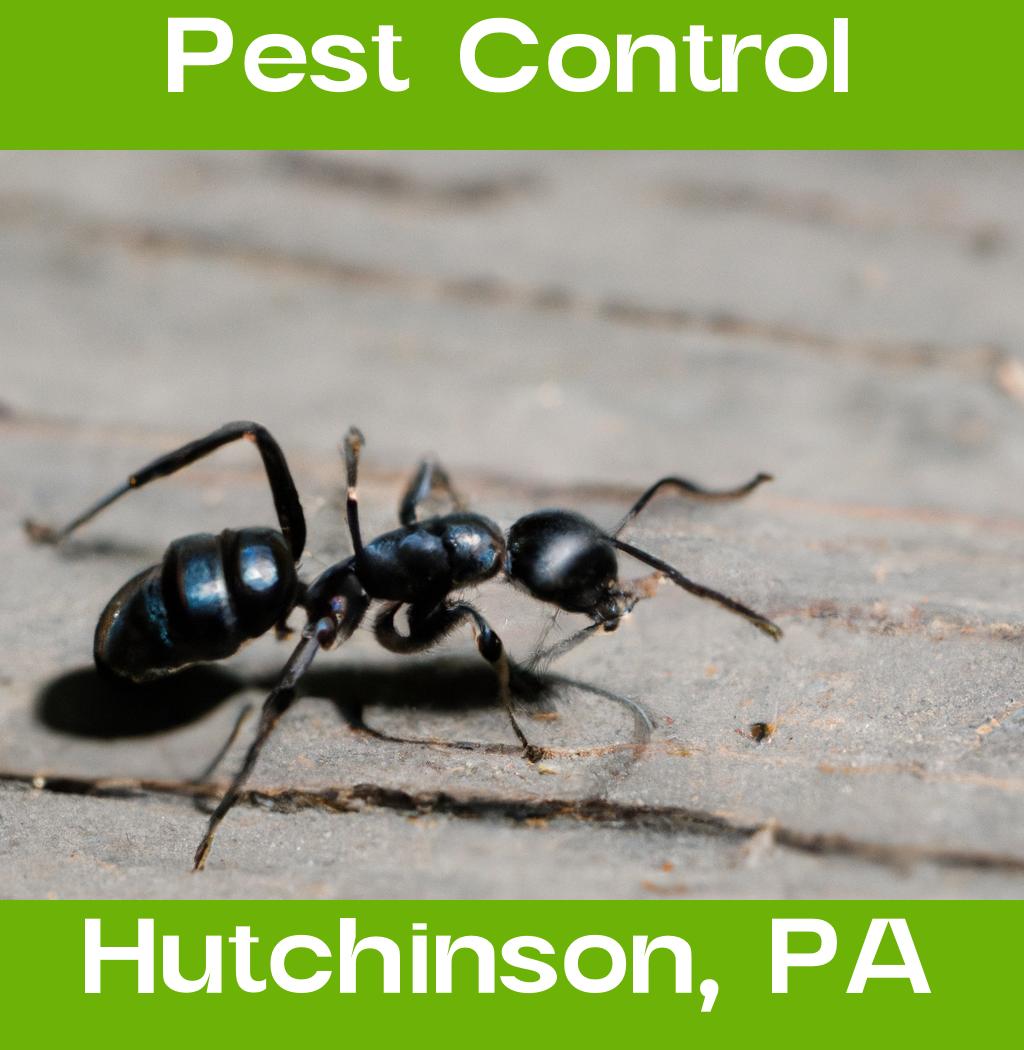 pest control in Hutchinson Pennsylvania