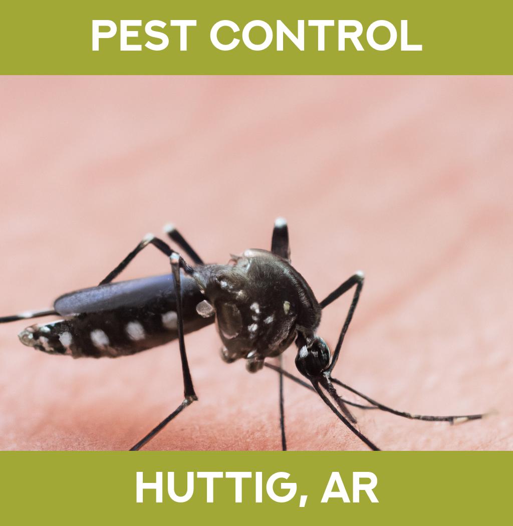 pest control in Huttig Arkansas