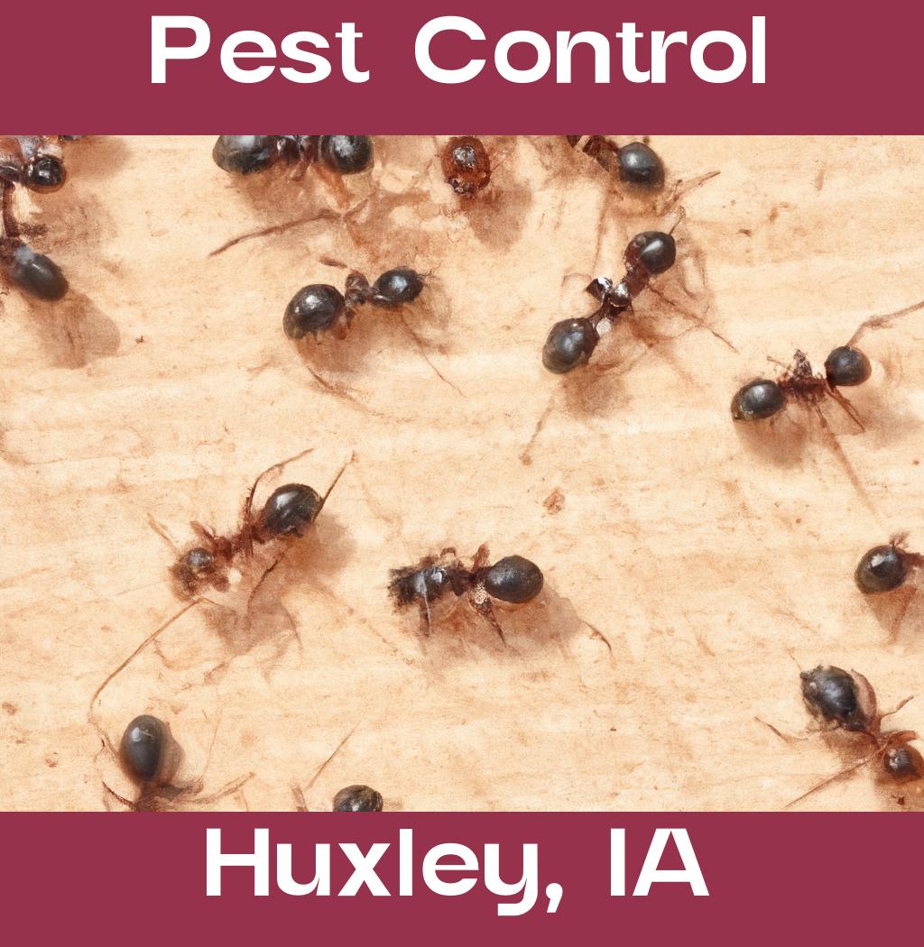 pest control in Huxley Iowa