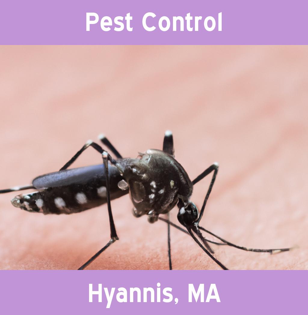 pest control in Hyannis Massachusetts