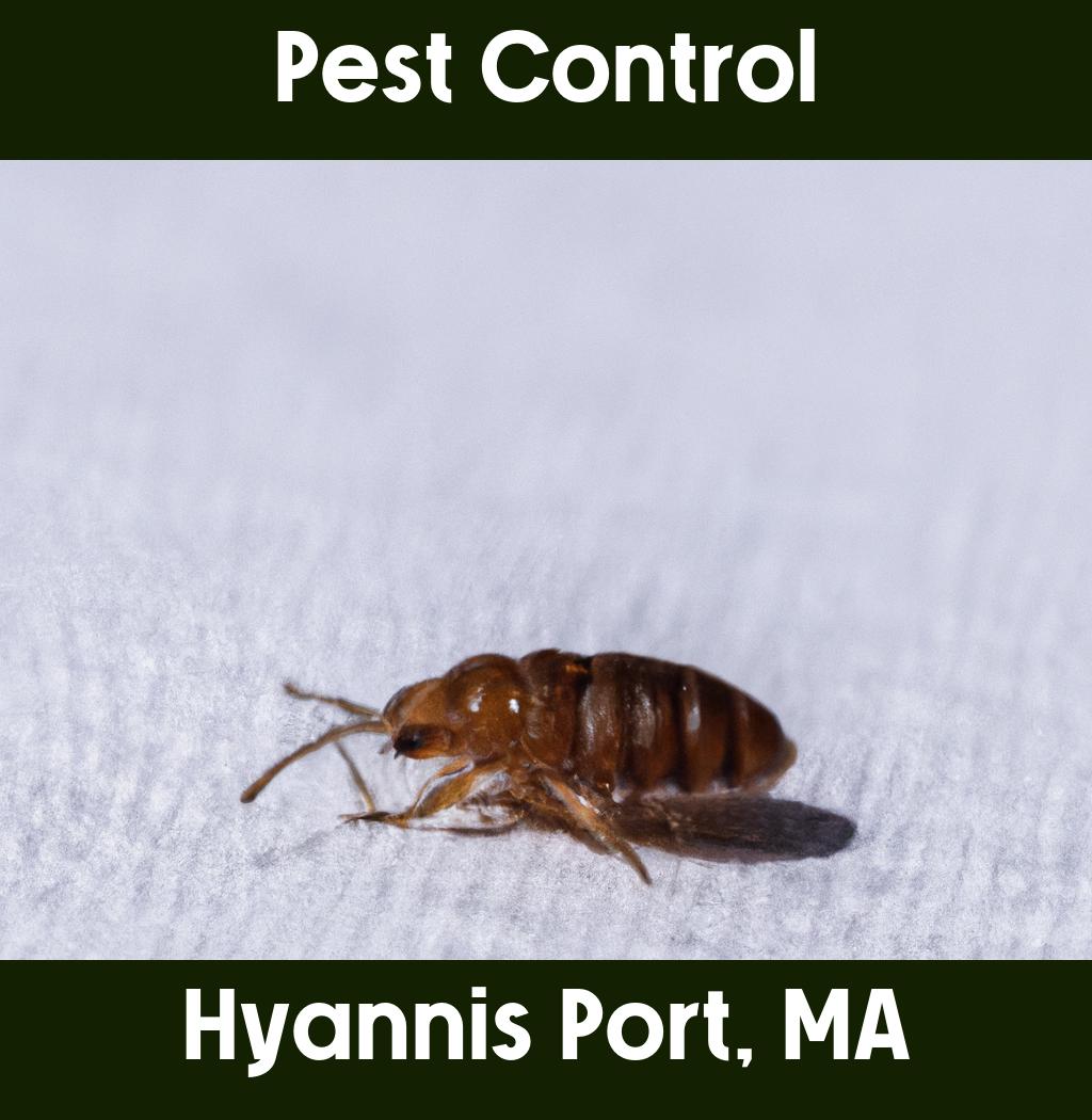 pest control in Hyannis Port Massachusetts