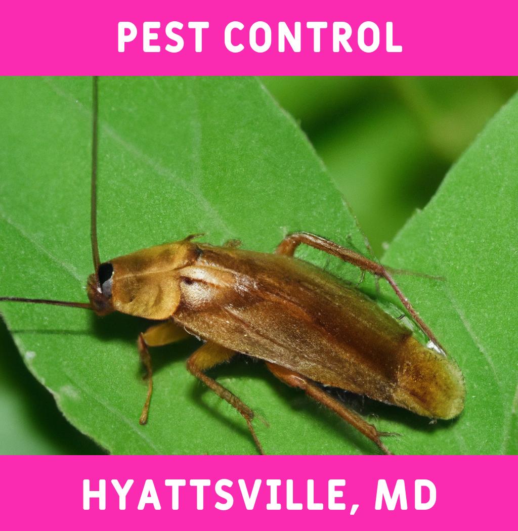 pest control in Hyattsville Maryland