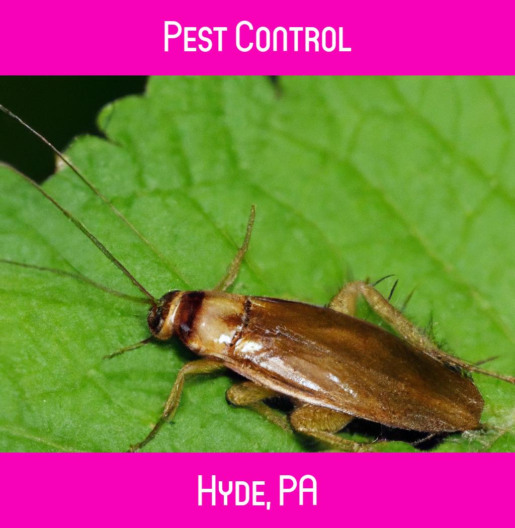 pest control in Hyde Pennsylvania