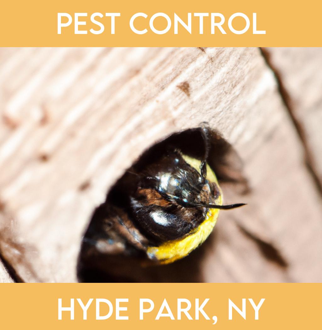 pest control in Hyde Park New York