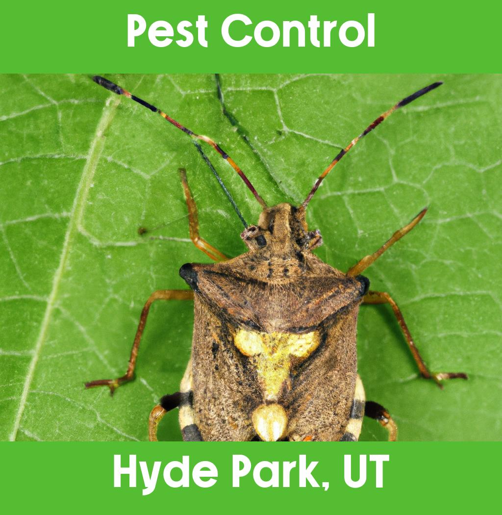 pest control in Hyde Park Utah