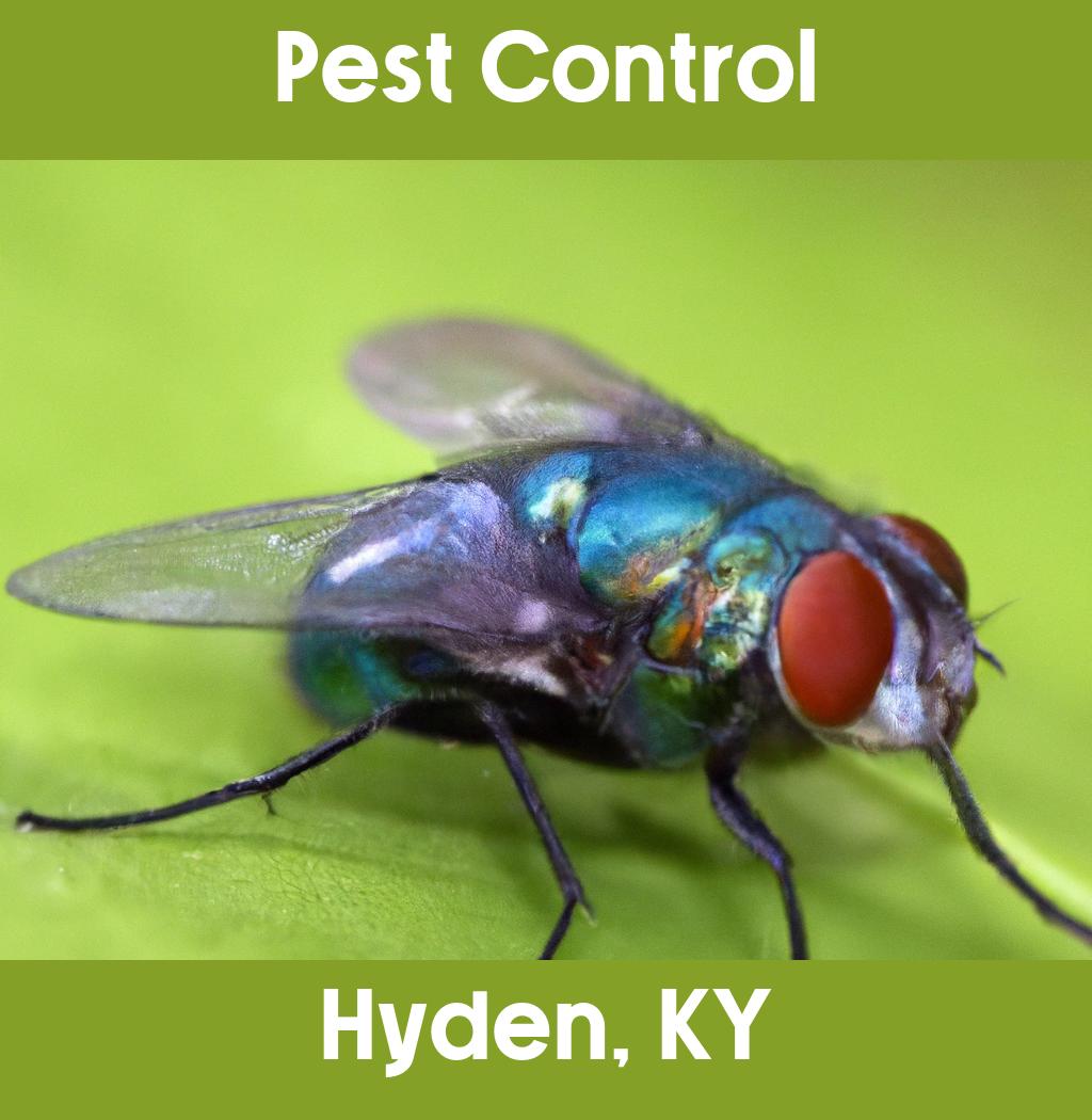 pest control in Hyden Kentucky