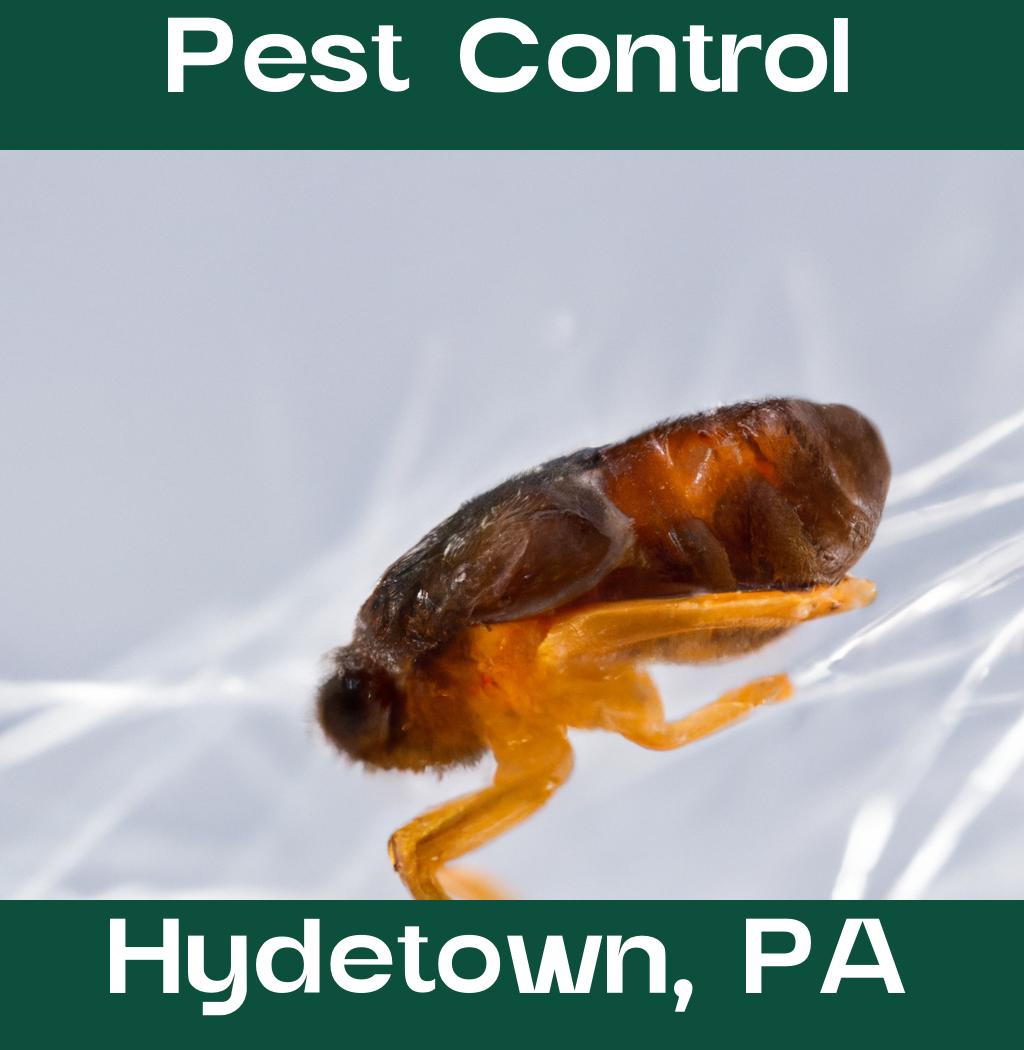 pest control in Hydetown Pennsylvania