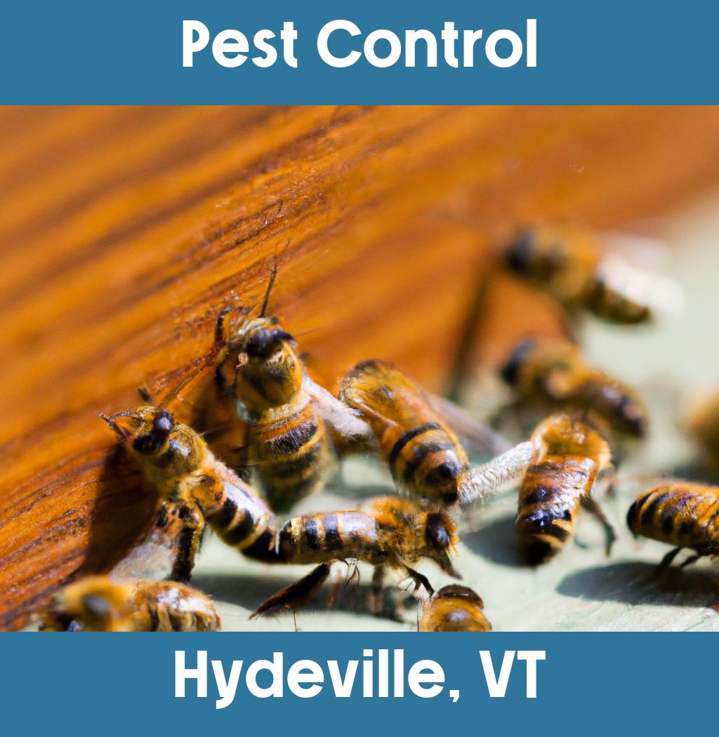 pest control in Hydeville Vermont