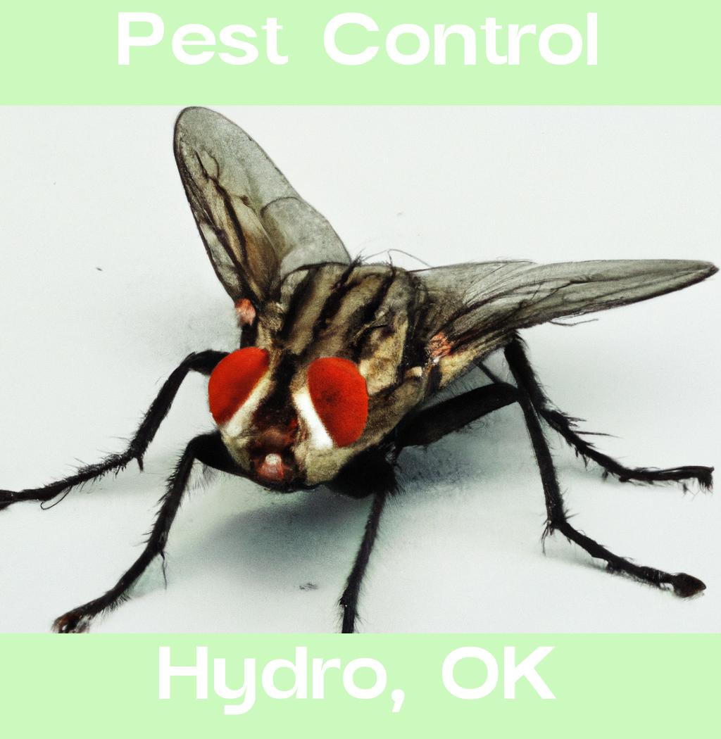 pest control in Hydro Oklahoma