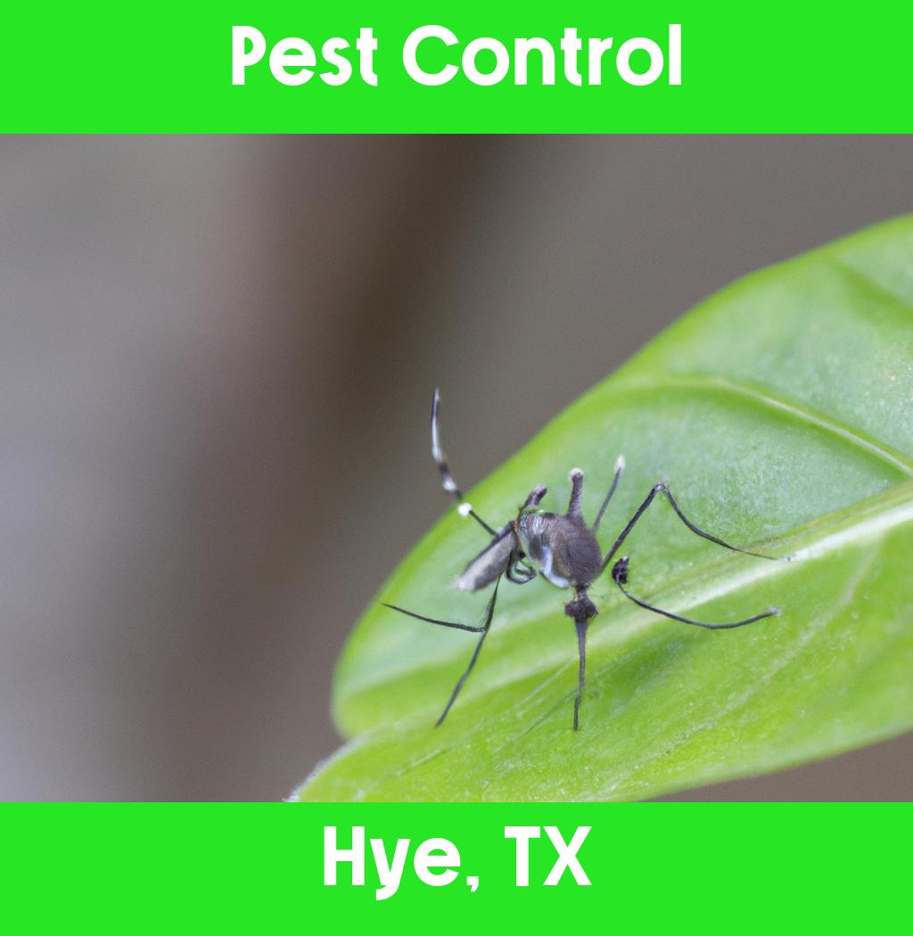 pest control in Hye Texas