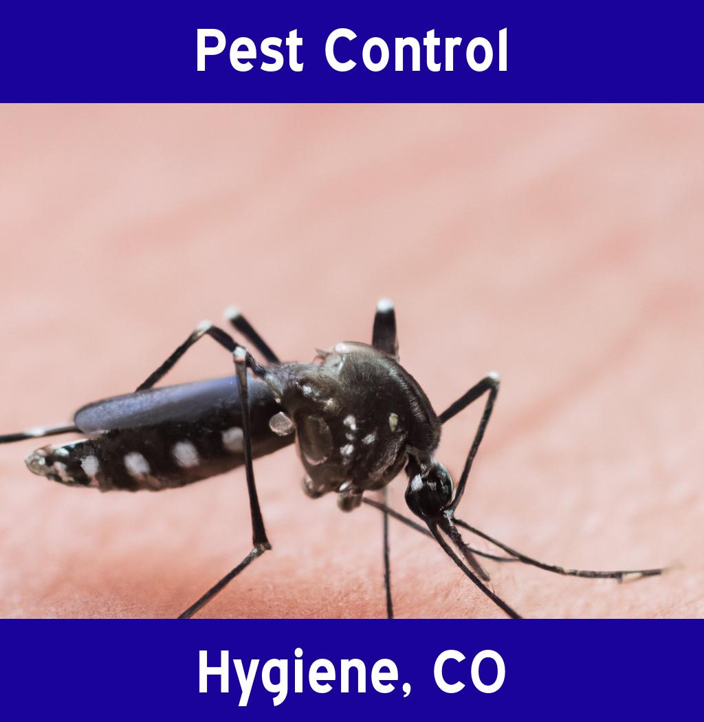 pest control in Hygiene Colorado