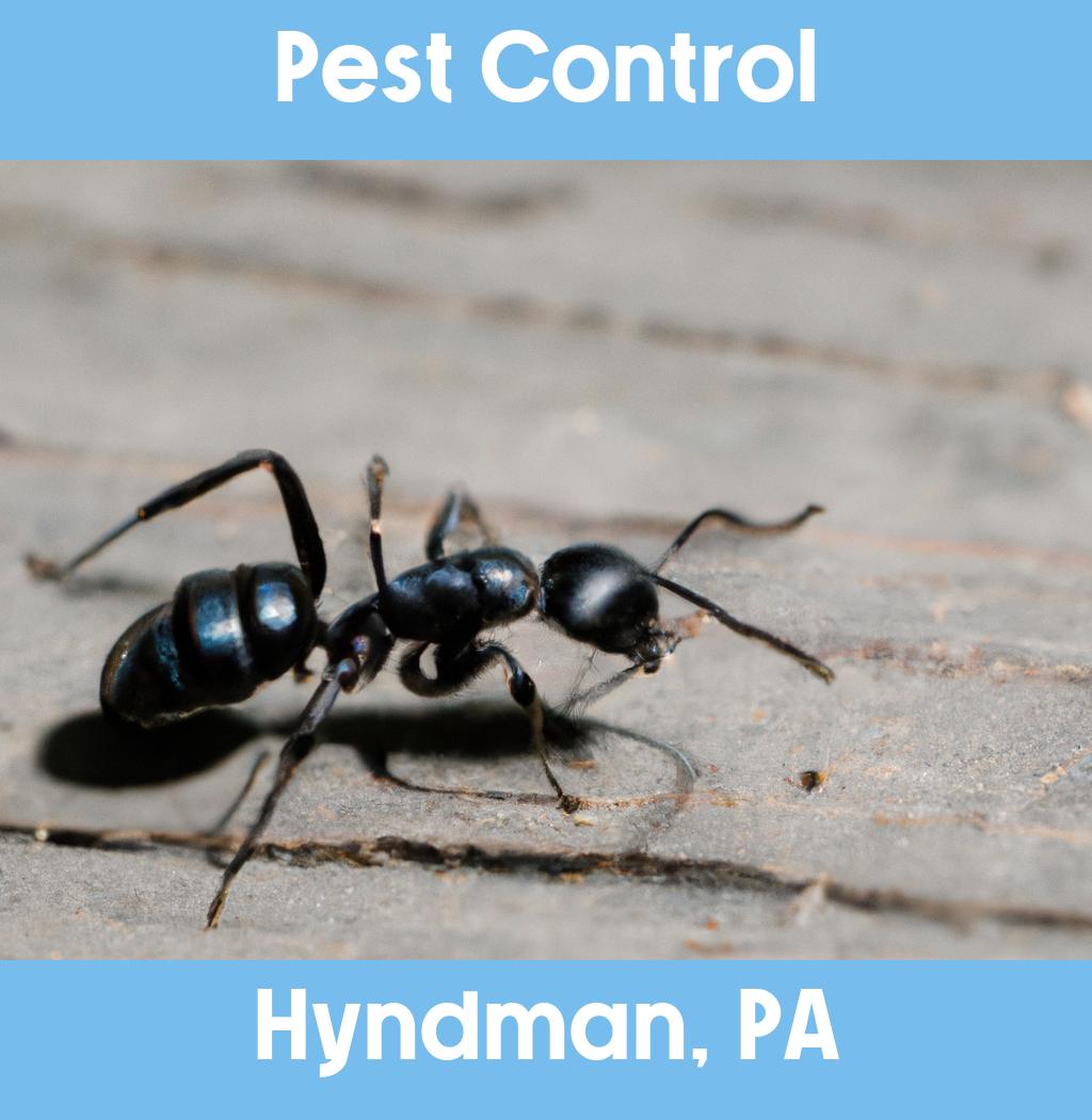 pest control in Hyndman Pennsylvania