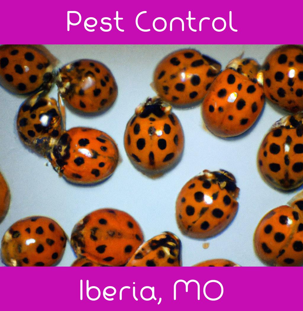 pest control in Iberia Missouri