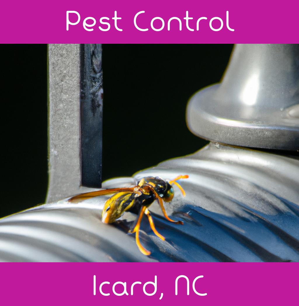 pest control in Icard North Carolina