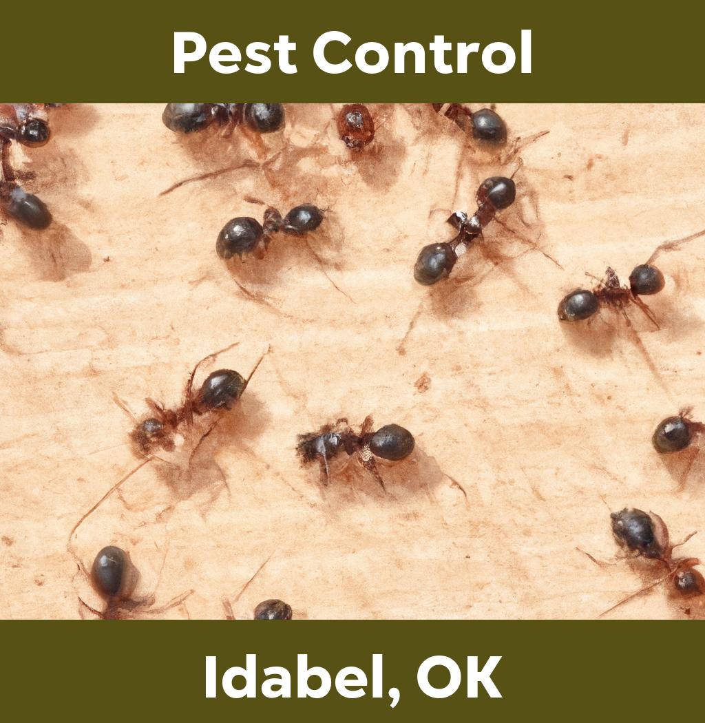 pest control in Idabel Oklahoma