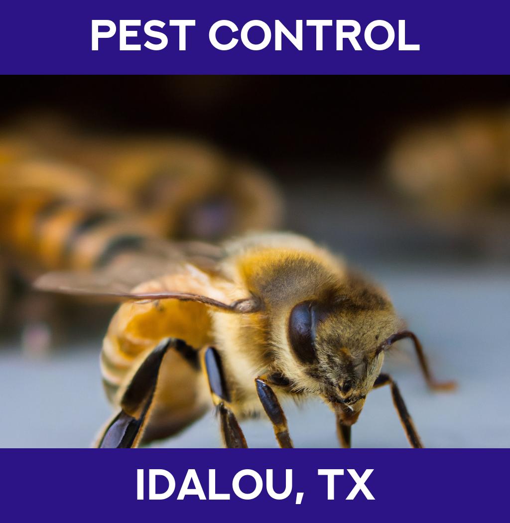 pest control in Idalou Texas