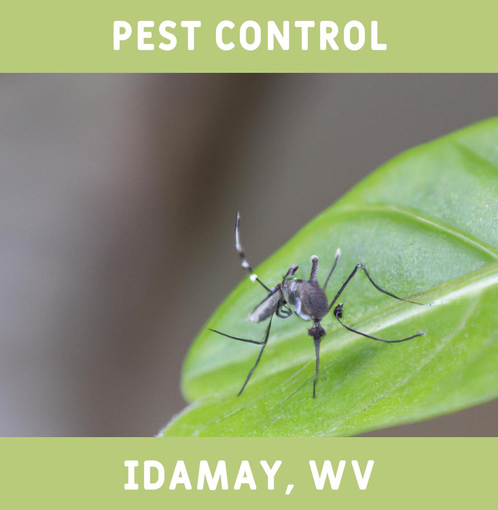 pest control in Idamay West Virginia