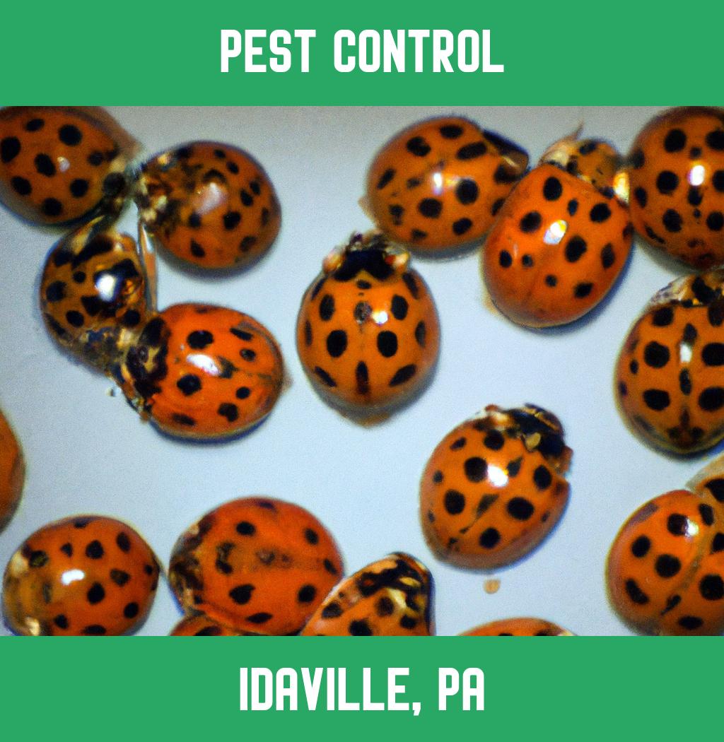 pest control in Idaville Pennsylvania