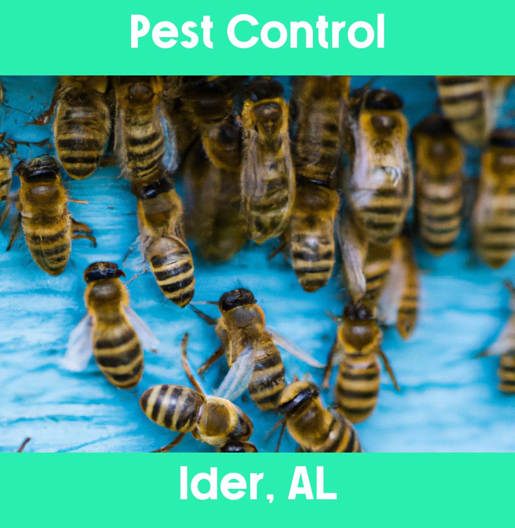 pest control in Ider Alabama