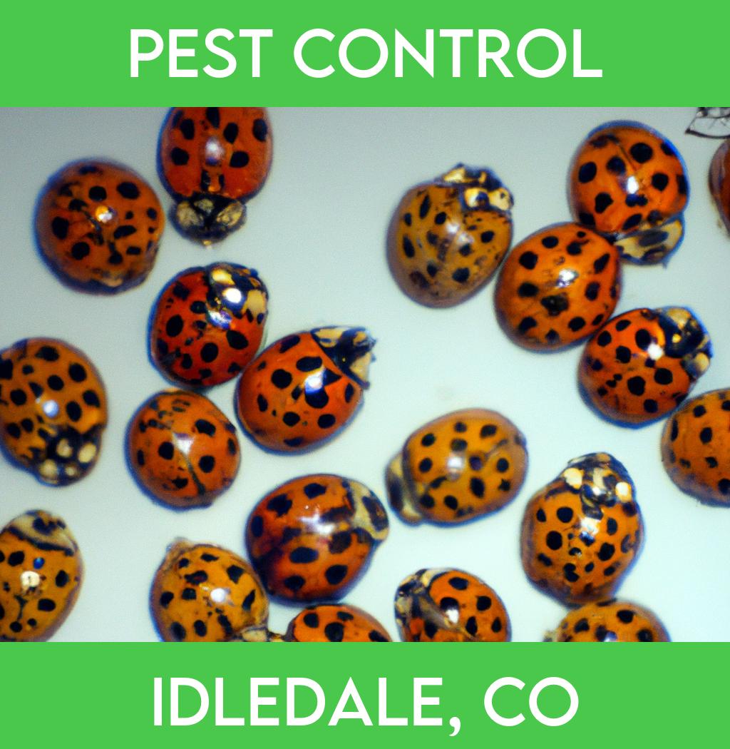 pest control in Idledale Colorado