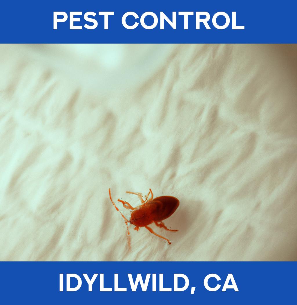 pest control in Idyllwild California