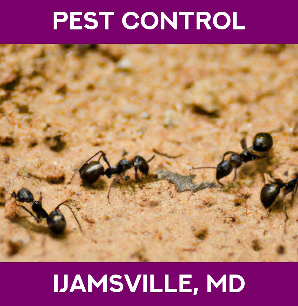pest control in Ijamsville Maryland