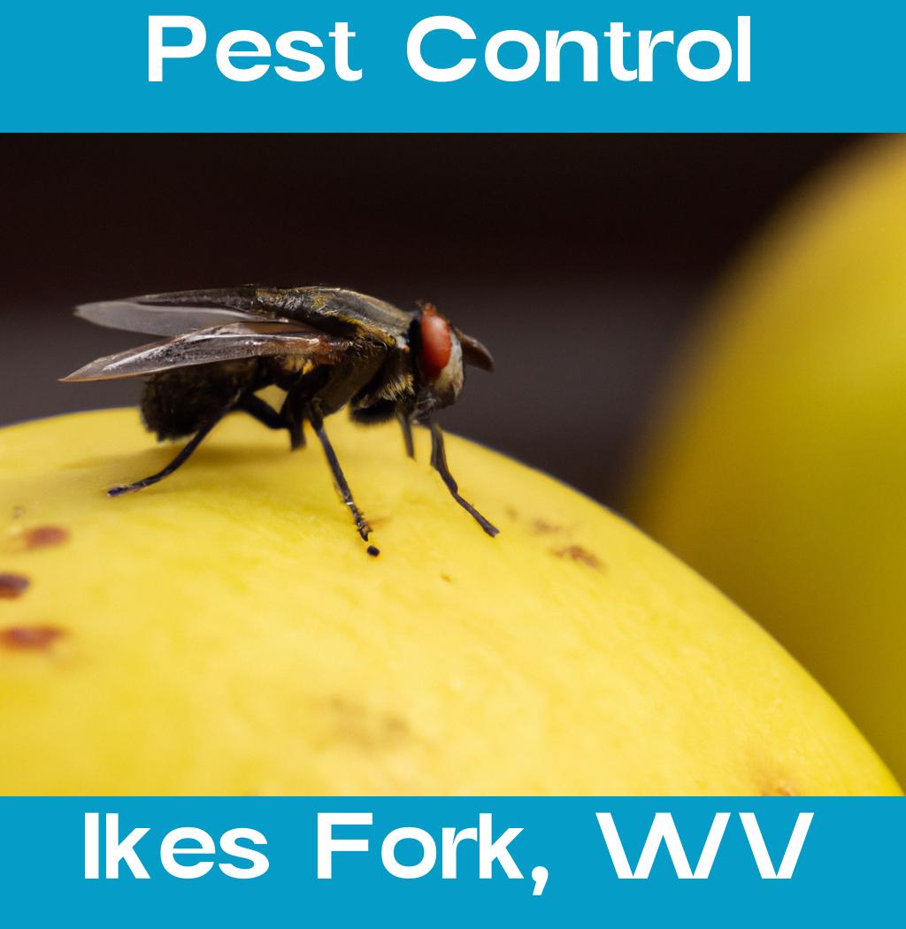 pest control in Ikes Fork West Virginia