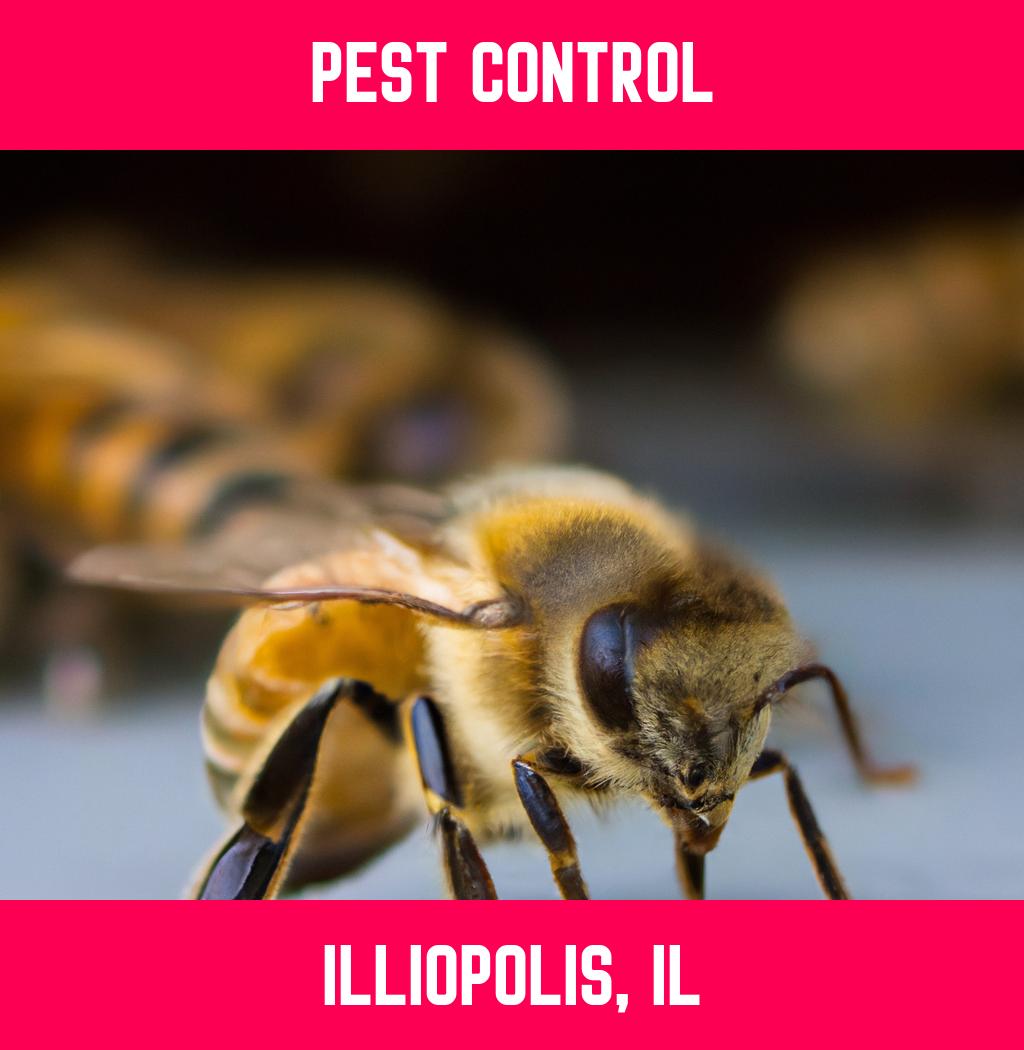 pest control in Illiopolis Illinois