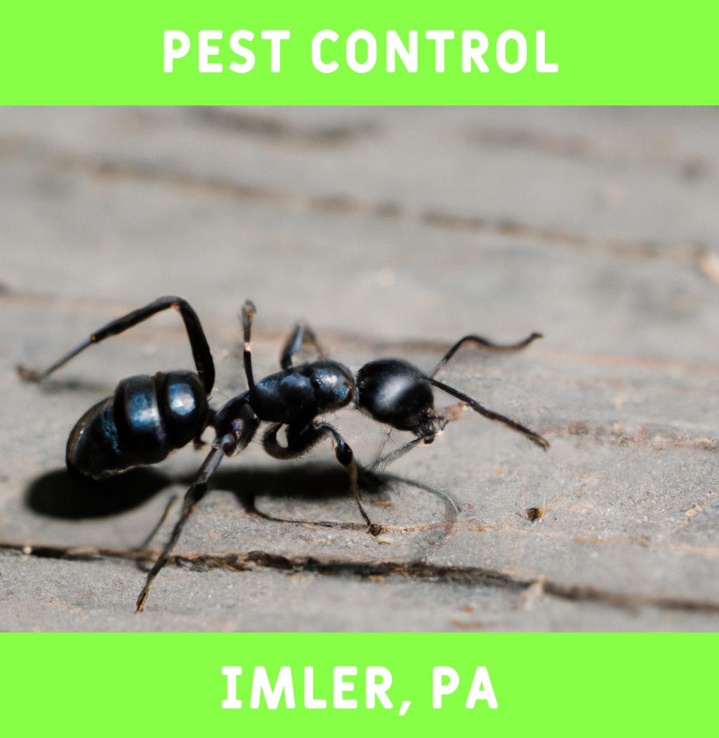 pest control in Imler Pennsylvania