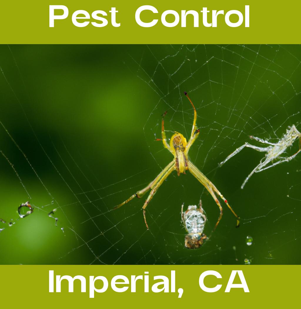 pest control in Imperial California