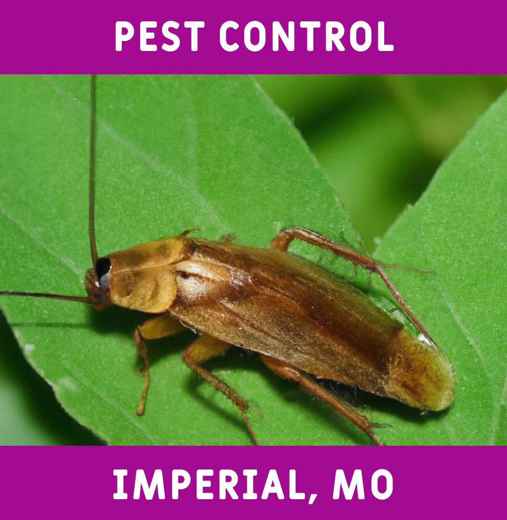 pest control in Imperial Missouri