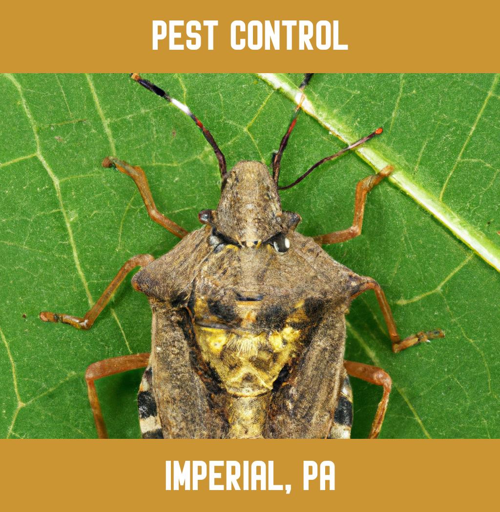 pest control in Imperial Pennsylvania