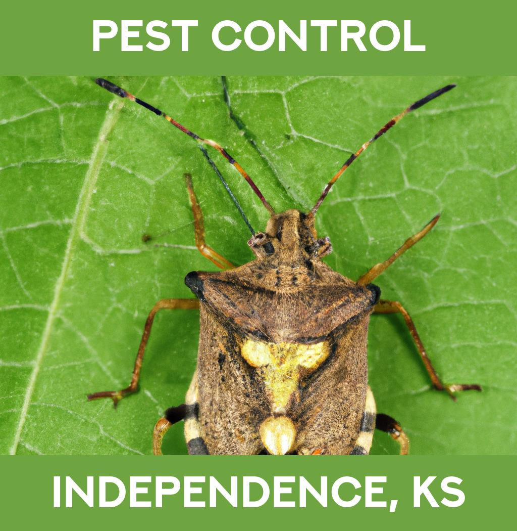 pest control in Independence Kansas