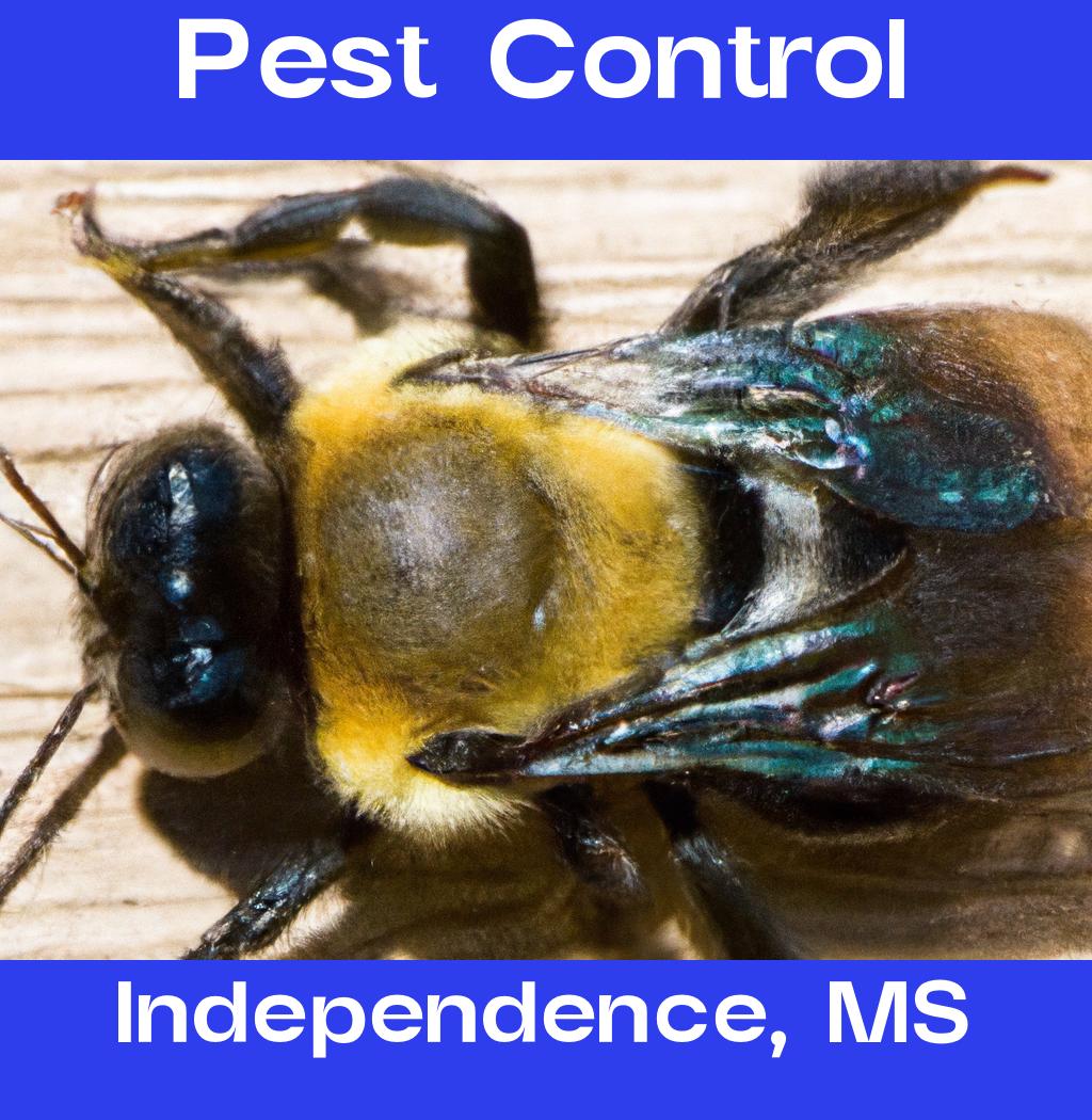 pest control in Independence Mississippi