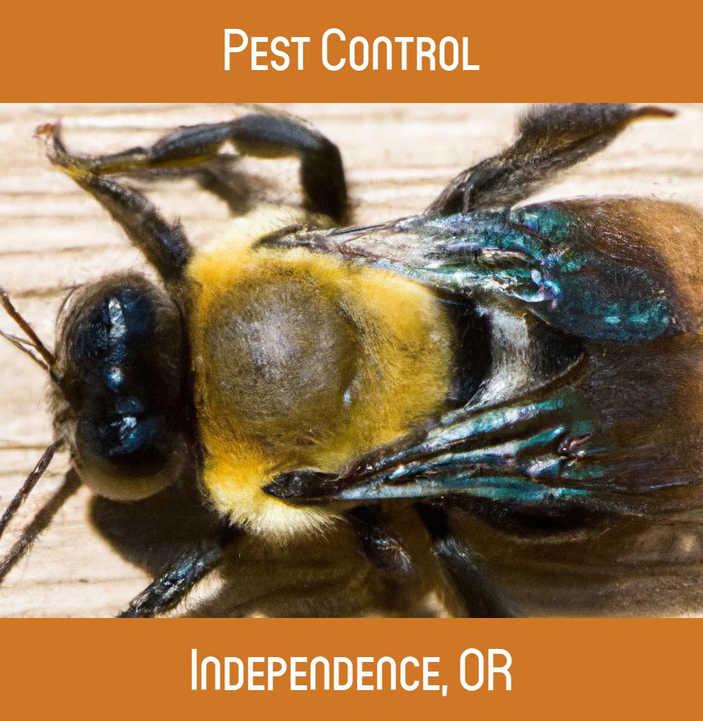 pest control in Independence Oregon