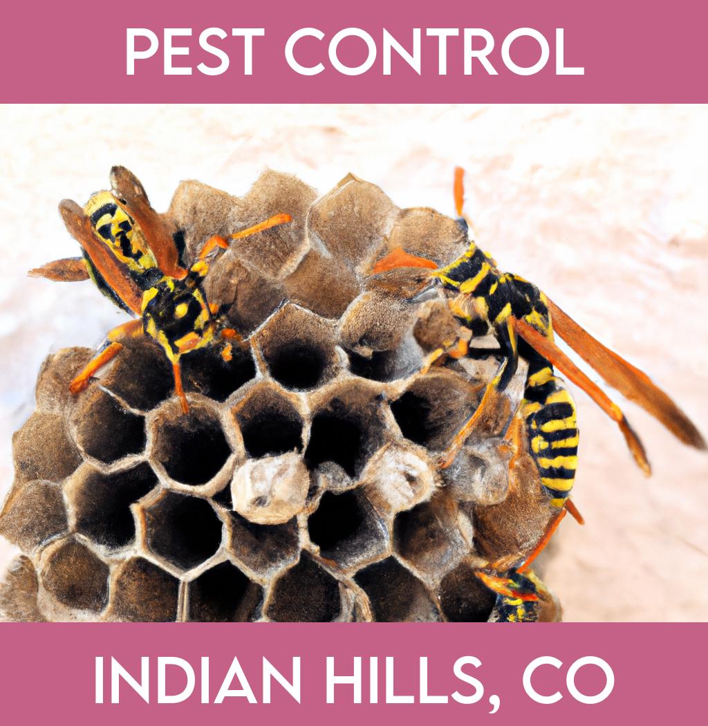 pest control in Indian Hills Colorado