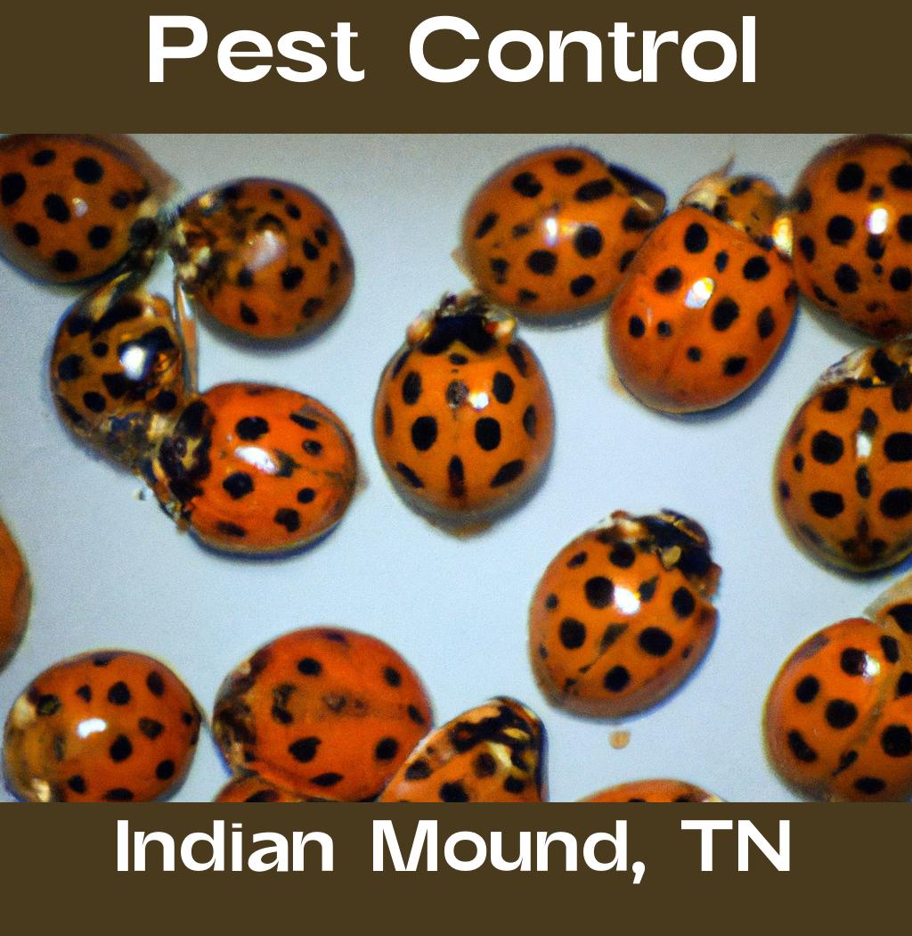 pest control in Indian Mound Tennessee