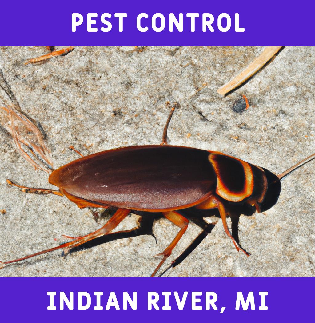 pest control in Indian River Michigan