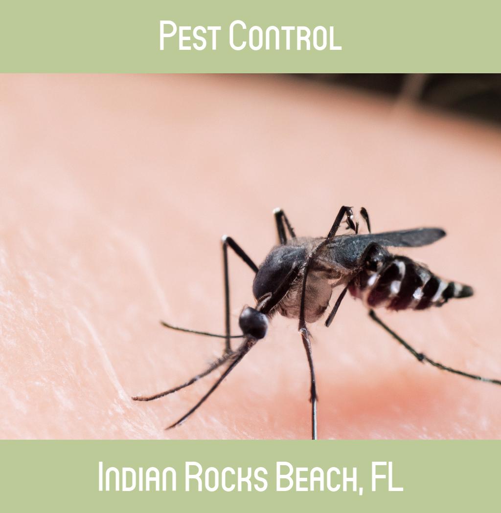 pest control in Indian Rocks Beach Florida