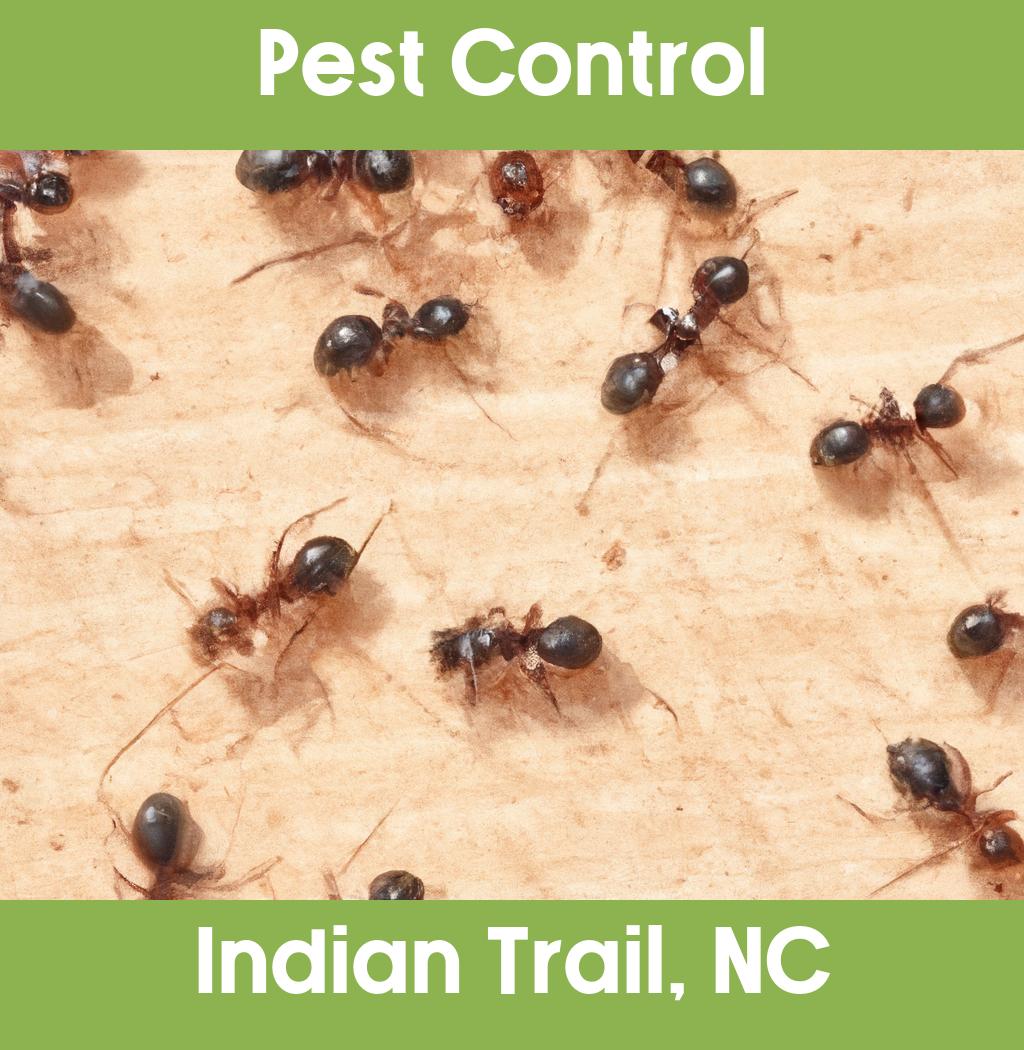 pest control in Indian Trail North Carolina