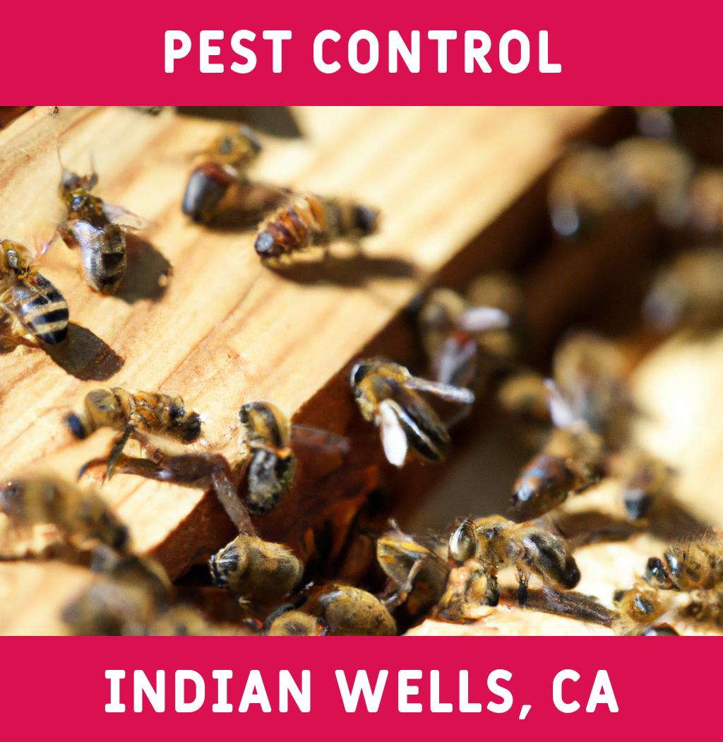 pest control in Indian Wells California