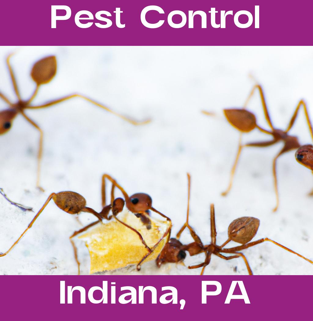 pest control in Indiana Pennsylvania